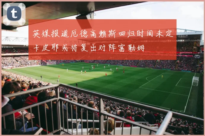 英媒报道厄德高赖斯回归时间未定卡皮耶或将复出对阵富勒姆