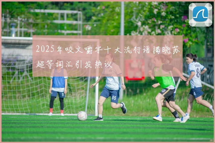 2025年咬文嚼字十大流行语揭晓苏超等词汇引发热议