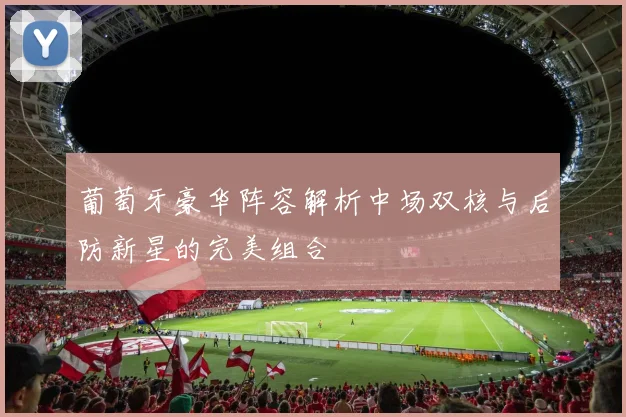 葡萄牙豪华阵容解析中场双核与后防新星的完美组合