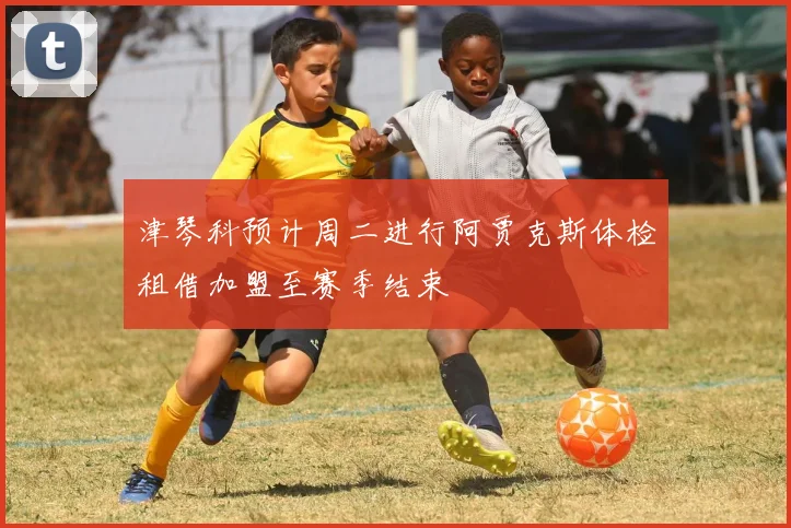 津琴科预计周二进行阿贾克斯体检租借加盟至赛季结束