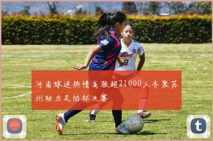 河南球迷热情高涨超21000人齐聚苏州助力足协杯决赛
