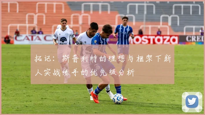 拓记：斯普利特的理想与框架下新人实战练手的优先级分析
