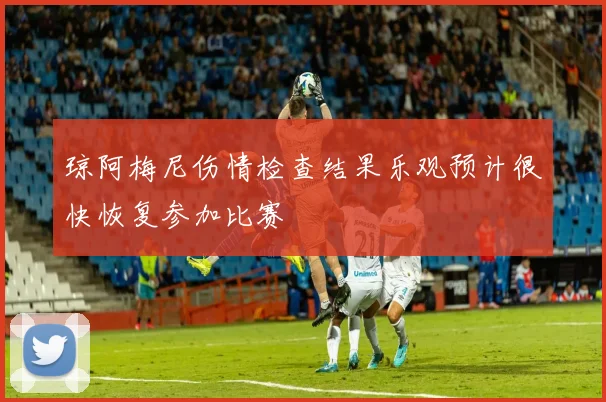 琼阿梅尼伤情检查结果乐观预计很快恢复参加比赛