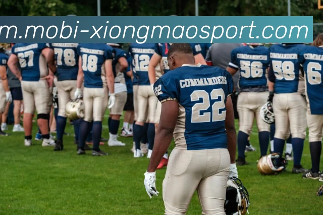 熊猫体育品牌故事