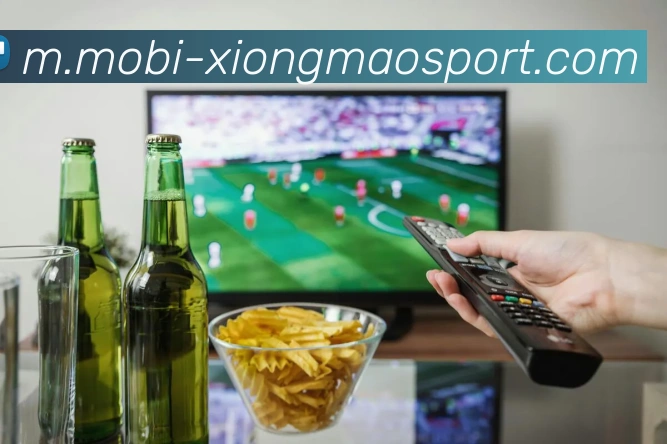 熊猫体育服务体系